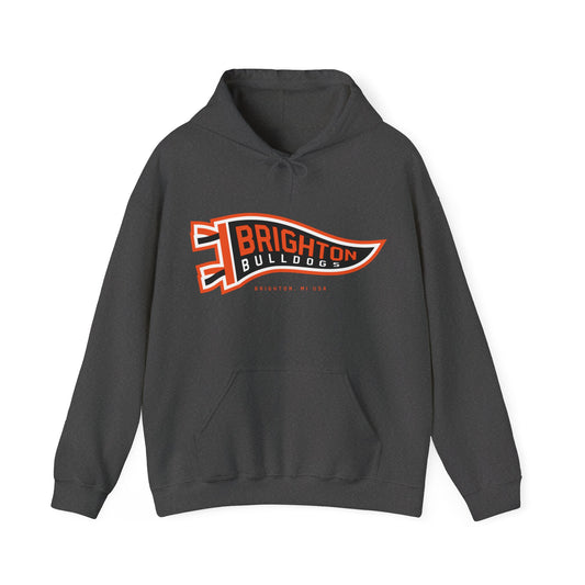 ADULT Pennant Hoodie (Unisex) - Classic