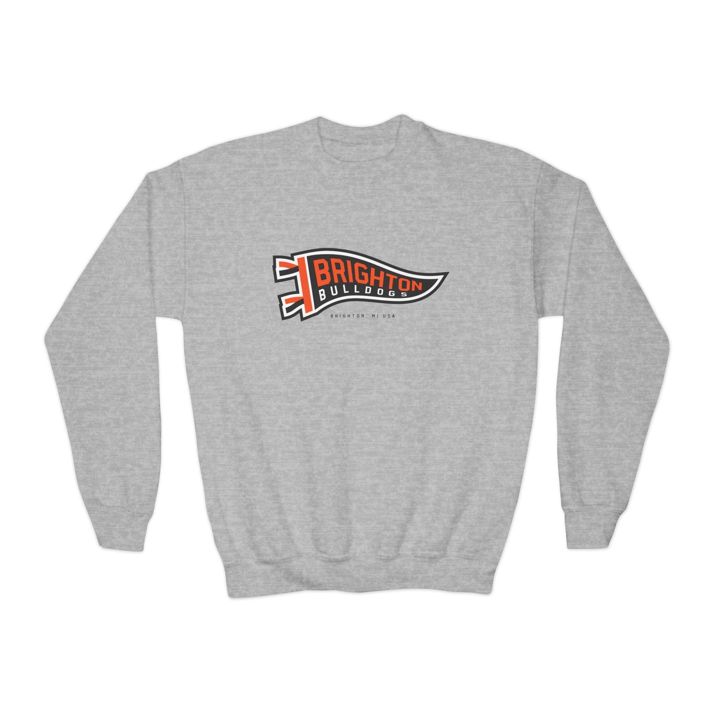 YOUTH Pennant Crewneck Sweatshirt