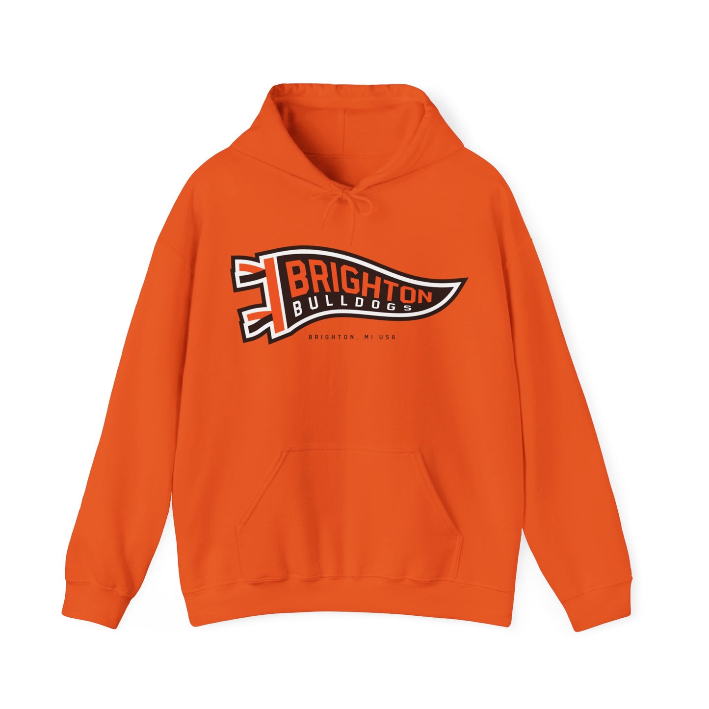 ADULT Pennant Hoodie (Unisex) - Classic